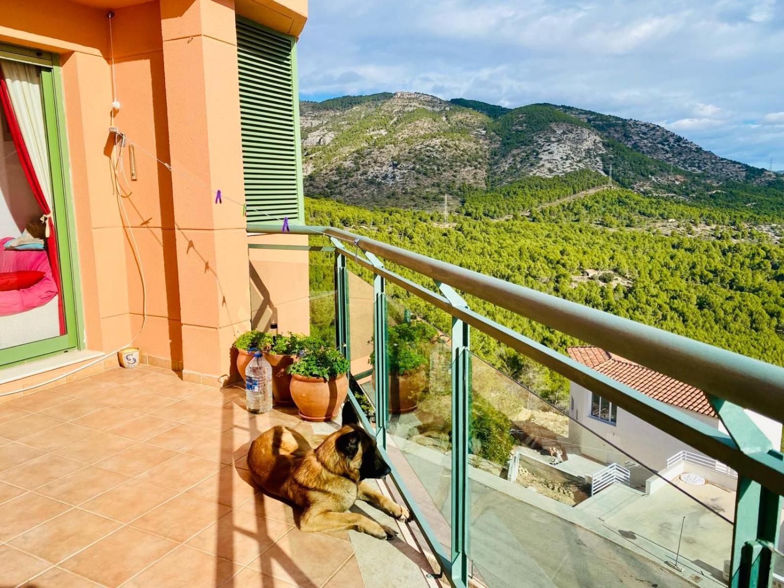 Precioso ático en la Sierra de Irta Apartamento Alcossebre Exterior foto